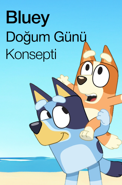 Bluey doğum günü konsepti ve parti malzemeleri