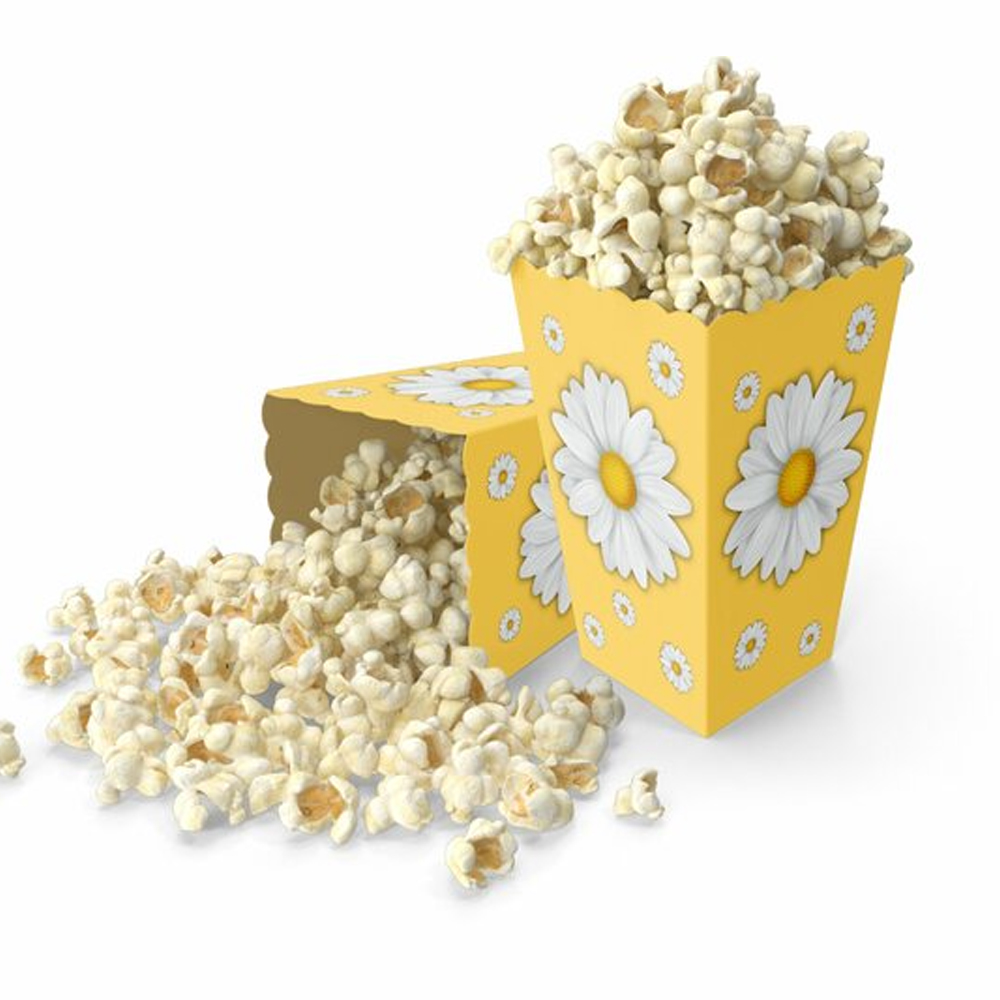 Papatya Konseptli Popcorn Kutusu