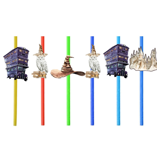 Harry Potter Konseptli 6’lı Plastik Pipet