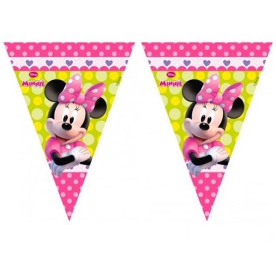 Minnie Mouse Doğum Günü konseptli Flama Bayrak 