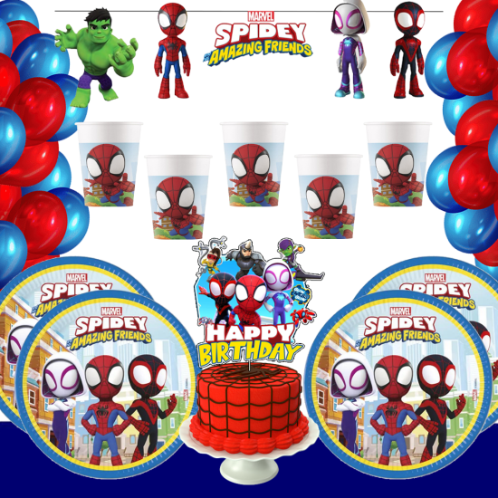 Spidey ve Arkadaşlar Temalı Doğum Günü Seti